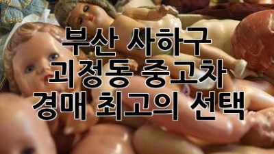 부산 사하구 괴정동 중고차 경매 최고의 선택
